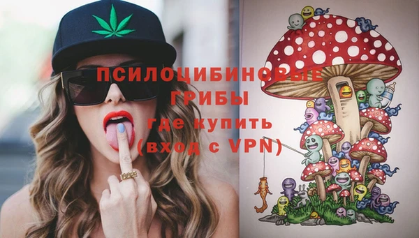 героин Алексин
