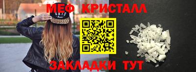 прущие грибы Гатчина