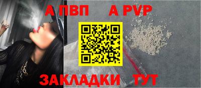 прущие грибы Гатчина