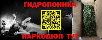 прущие грибы Гатчина