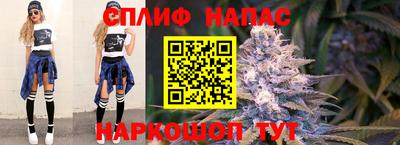 прущие грибы Гатчина