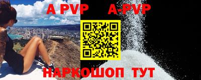 прущие грибы Гатчина