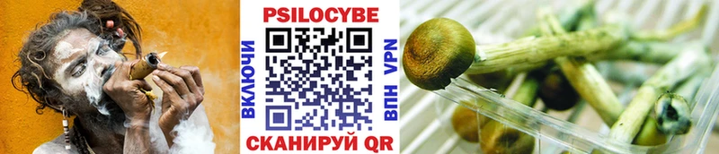 Псилоцибиновые грибы ЛСД Кинель