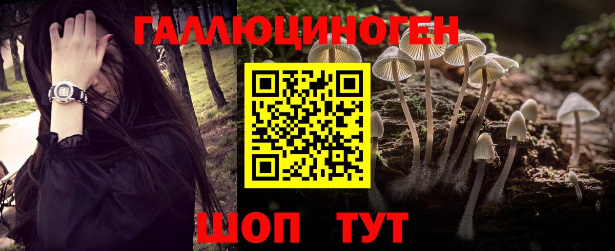 Псилоцибиновые грибы мухоморы  Вход с VPN  Галлюциногенные грибы GOLDEN TEACHER  Кинель 